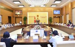 Có nên tăng tỷ lệ đại biểu Quốc hội chuyên trách?